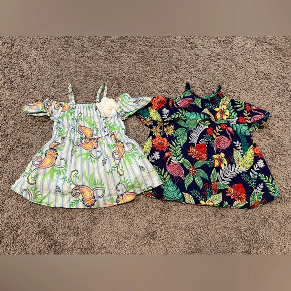 Bundle: baby girls Janie and Jack cold shoulder dresses size 12-18 months - Picture 1 of 7